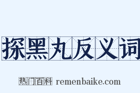 探黑丸反义词是什么意思的图片